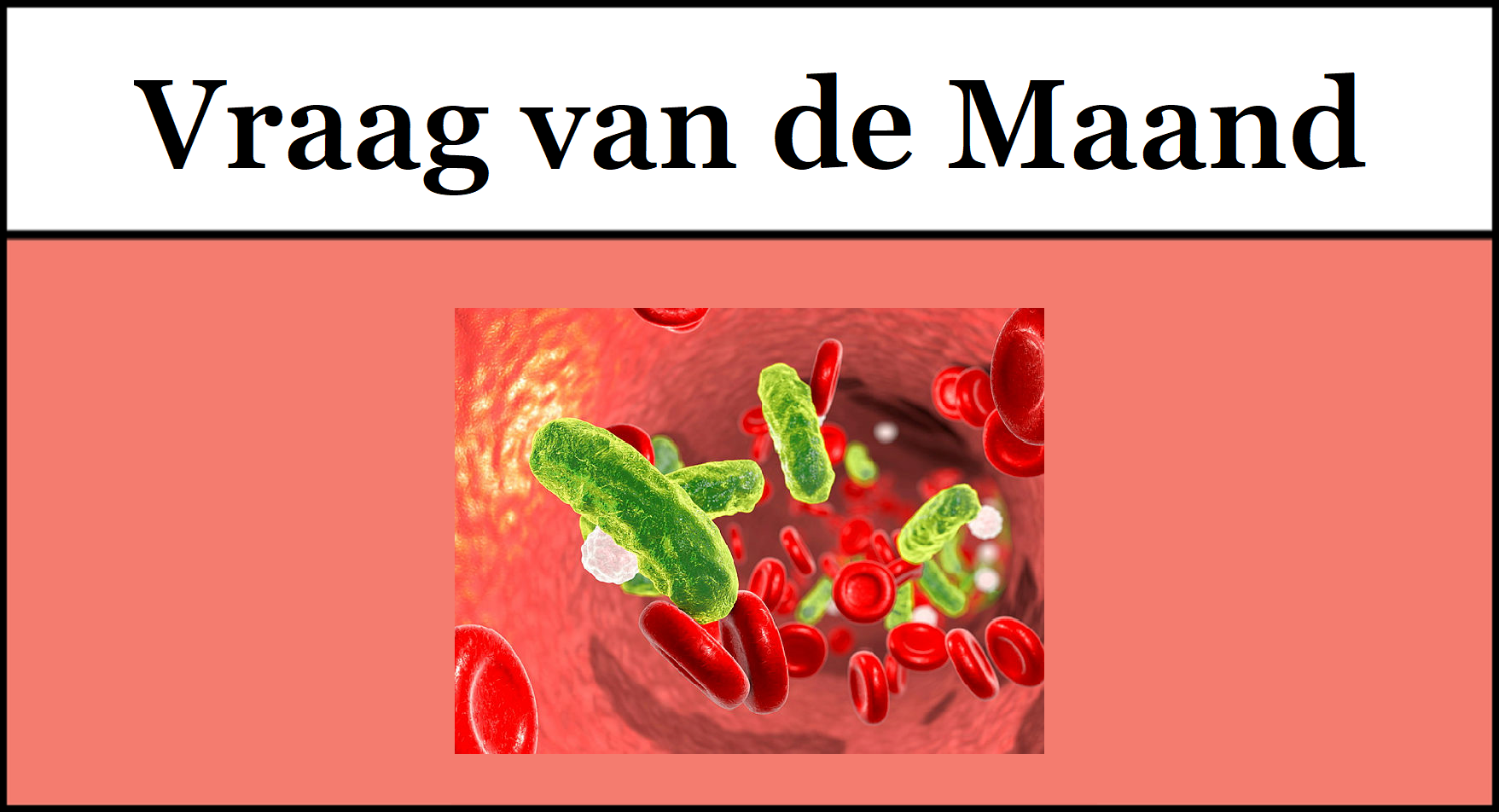 Illustratie van rode bloedcellen, leukocyten en bacteriën.