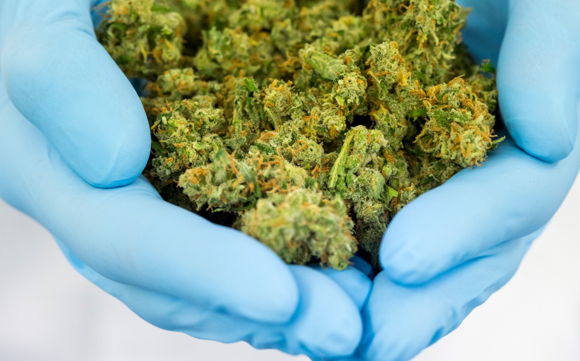 Medicinale Cannabis Nursing